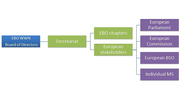 EBO Structure